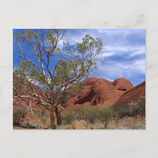 Carte postale de l'Australie centrale (Devant)