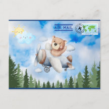 Carte postale de l'avion à vol d'ours