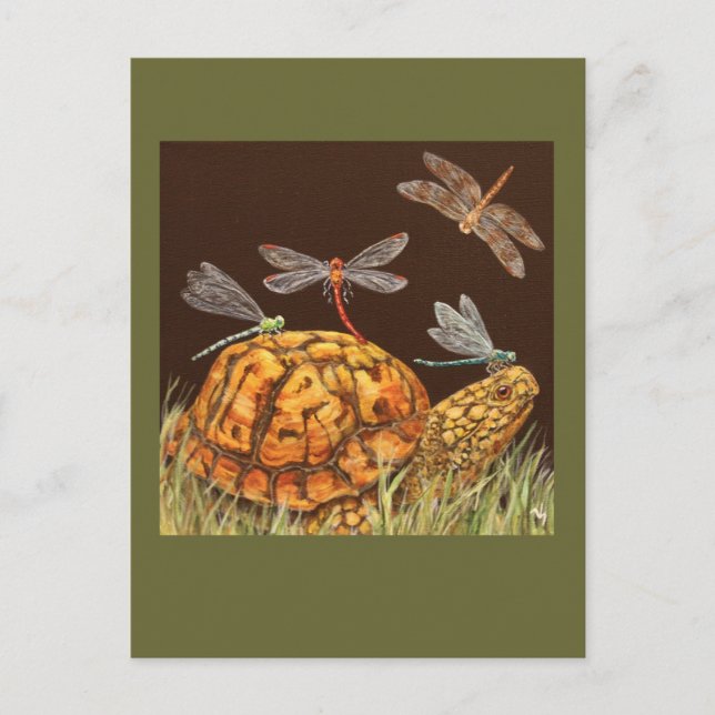 carte postale de l'école de tortues (Devant)