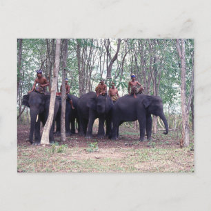 Carte postale de l'éléphant d'Asie