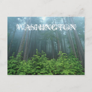 Carte postale de l'État Washington