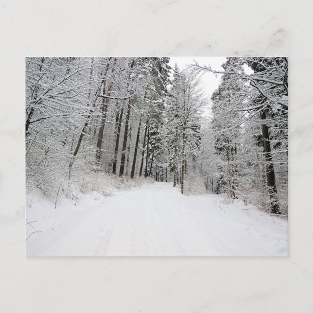 carte postale de l'hiver (Devant)