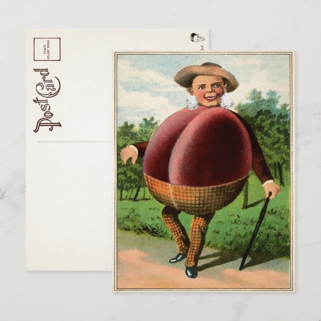 Carte postale de l'homme à la prune victorienne  (Devant / Derrière)