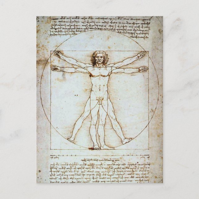 CARTE POSTALE DE L'HOMME DE VITRUVE DE LÉONARD DE  (Devant)