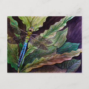 Carte postale de libellule Darner
