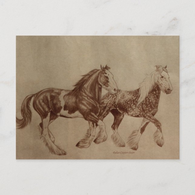 Carte postale de liberté de Shires (Devant)