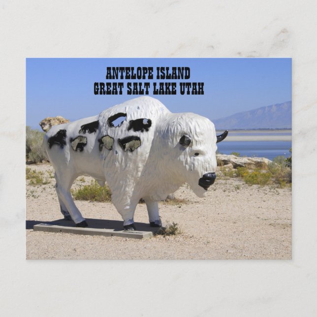 Carte postale de l'île Antelope Great Salt Lake Ut (Devant)