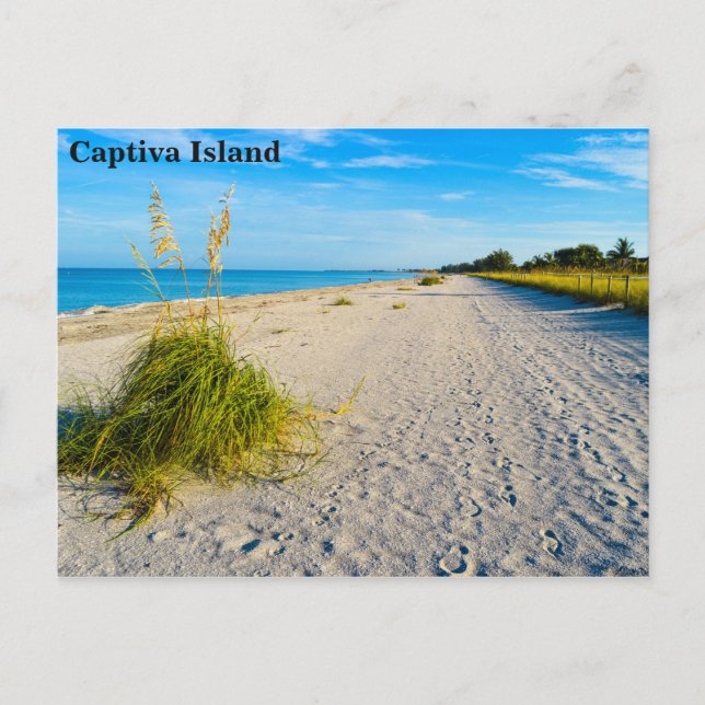 Carte postale de l'île Captiva (Devant)