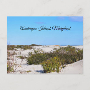 Carte postale de l'île d'Assateague