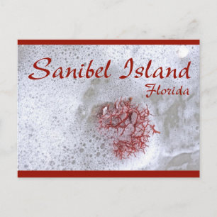Carte postale de l'île de Sanibel