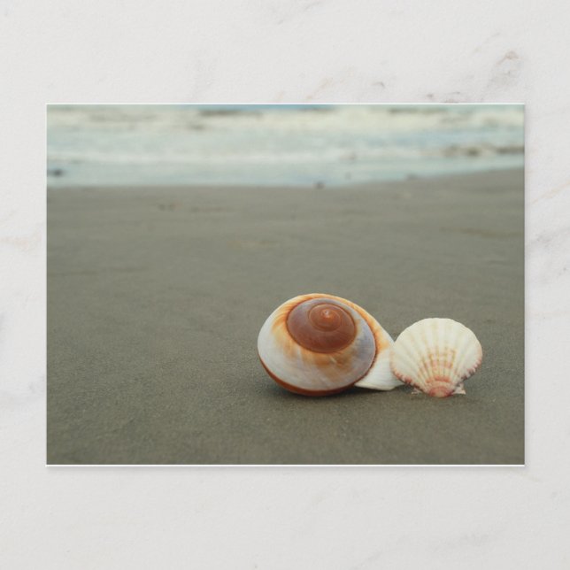 Carte postale de l'île Galveston (Devant)