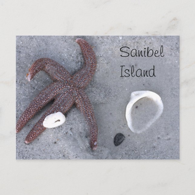 Carte postale de l'île Sanibel Starfish et Shell (Devant)