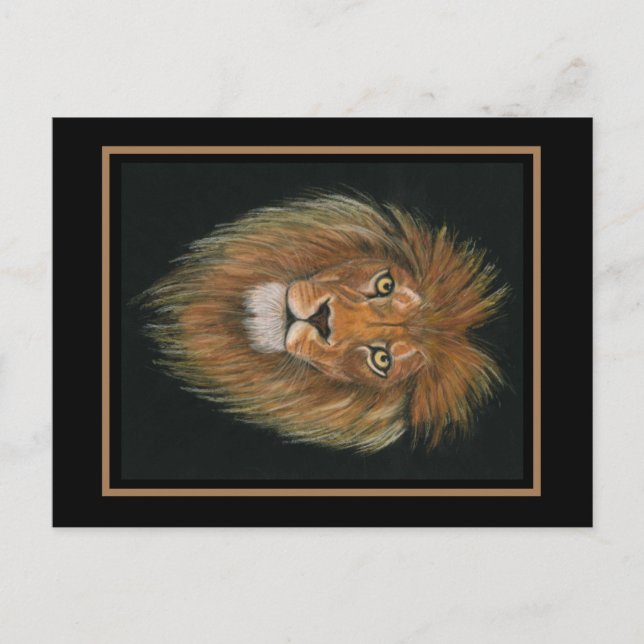 Carte postale de lion (Devant)