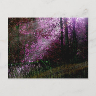 Carte postale de l'obscurité