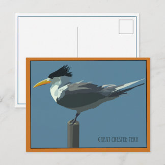 Carte postale de l'oiseau - Sterne royale
