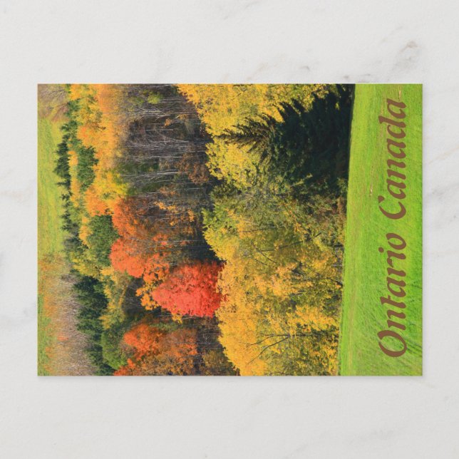 Carte postale de l'Ontario Canada (Devant)