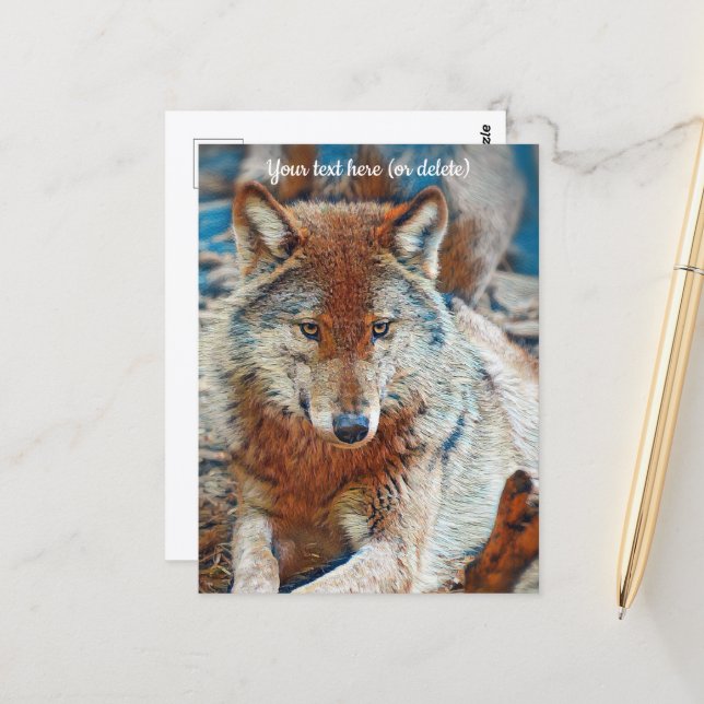 Carte postale de loup (Devant/Arrière en situation)