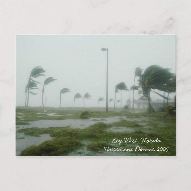 Carte postale de l'ouragan Dennis 2005 Key West Fl (Devant)
