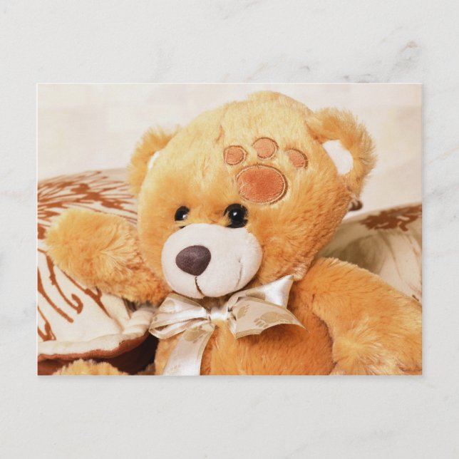 Carte postale de l'ours en peluche (Devant)