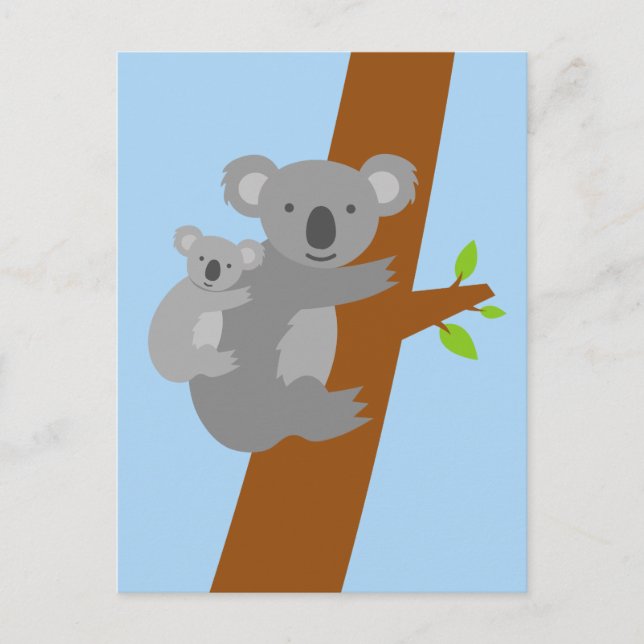 Carte postale de l'ours Koala (Devant)