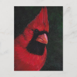 Carte postale de M. Red Cardinal Bird Art