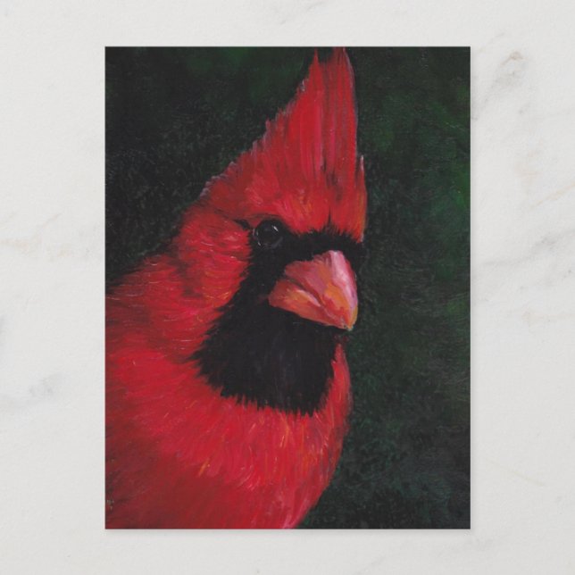 Carte postale de M. Red Cardinal Bird Art (Devant)