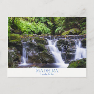 Carte postale de Madère - Levada do Rei avec texte