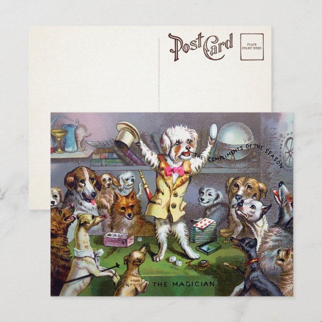 Carte postale de magicien avec chien victorien (Devant / Derrière)