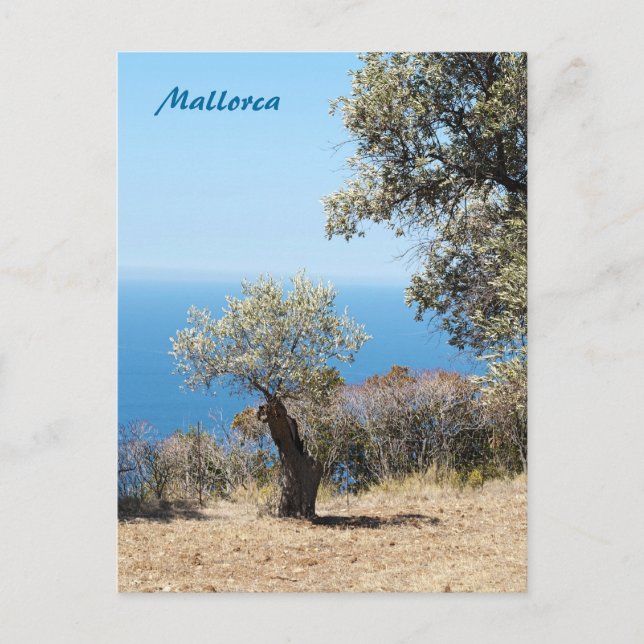Carte postale de Majorque (Devant)