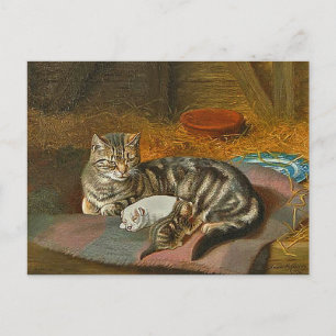 Carte postale de Mama Cat & Pup : "L'invité inatte