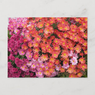 Carte postale de maman colorée