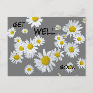Carte postale de marguerites blanches de couleur p
