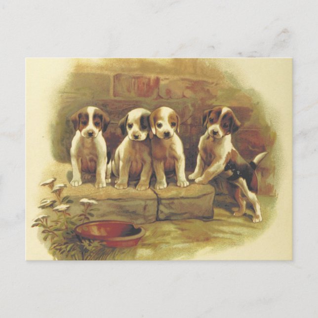 Carte postale de marionnettes Vintages (Devant)