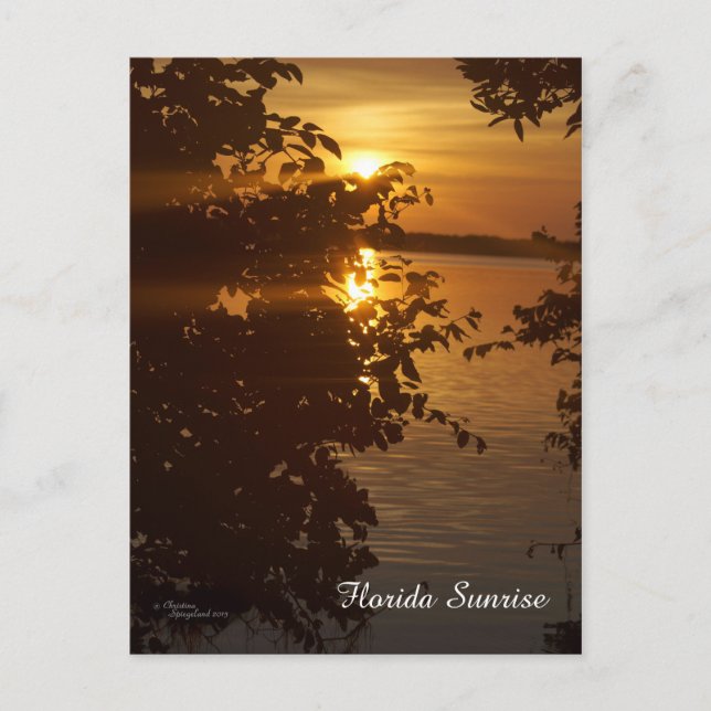Carte postale de Matlacha Florida Sunrise (Devant)