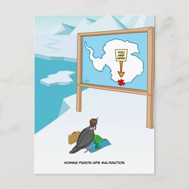 Carte postale de mauvais fonctionnement GPS Pigeon (Devant)