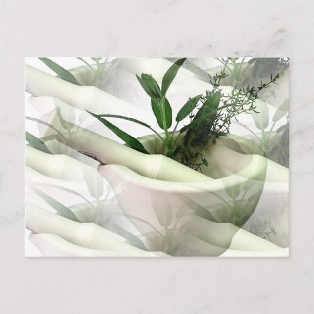 Carte postale de médecine alternative (Devant)