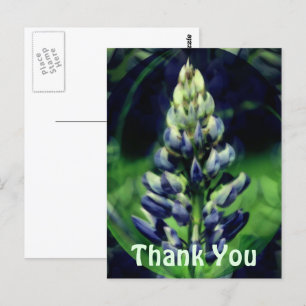Carte postale de Merci Abstrait bleu Lupine