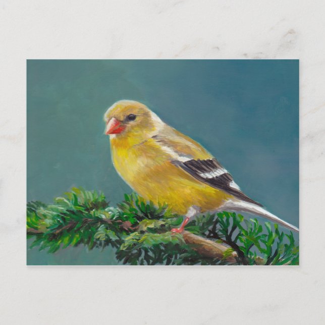 Carte postale de Mme Goldfinch Bird Art (Devant)