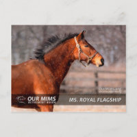 Carte postale de Mme Royal Flagship