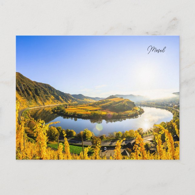 Carte postale de Mosel près de Bremm à l'aube (Devant)