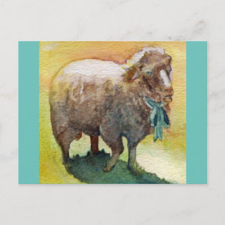 Carte postale de mouton