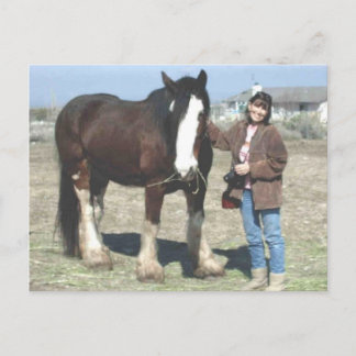 Carte postale de Mustang-Esprit
