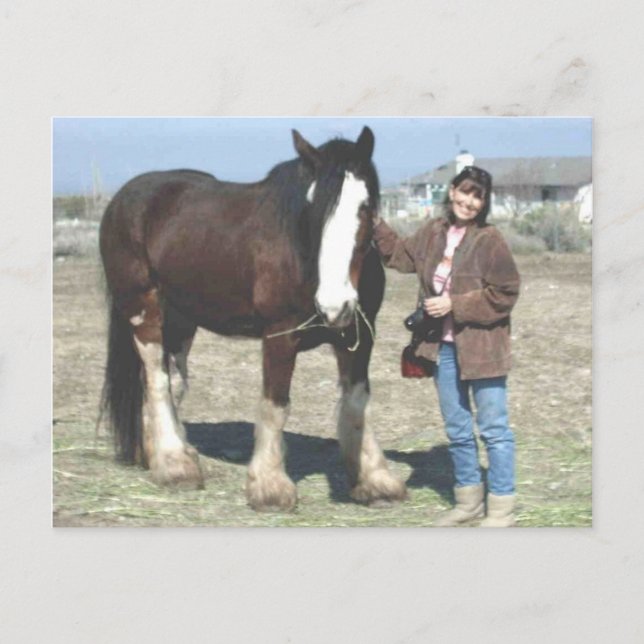 Carte postale de Mustang-Esprit (Devant)