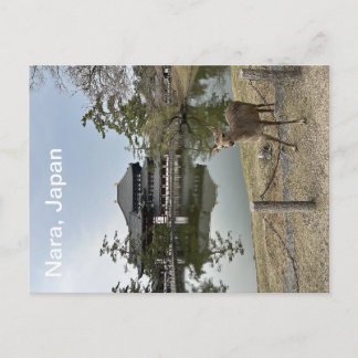 Carte postale de Nara, Japon