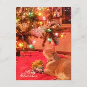 Carte postale de Noël
