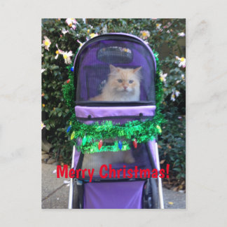 Carte postale de Noël