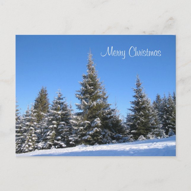 Carte postale de Noël (Devant)