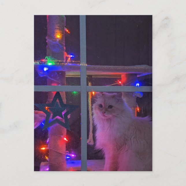 Carte postale de Noël (Devant)