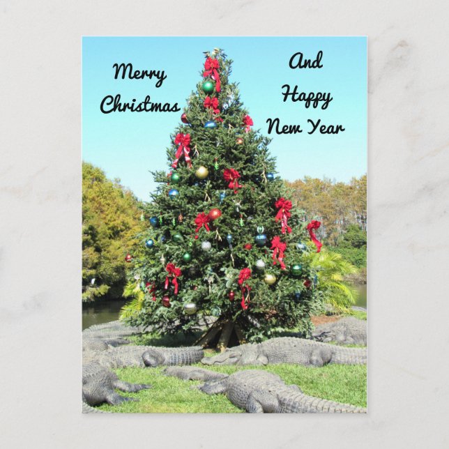 Carte postale de Noël Alligator (Devant)