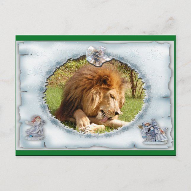 Carte postale de Noël au lion africain (Devant)